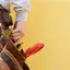 Handyman repair service in Chattanooga, TN for home fixes and improvements